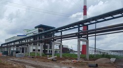 Kiểm tra việc chấp hành bảo vệ môi trường của Nhà máy giấy Lee&Man.