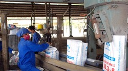 Ảnh minh họa. (Nguồn: Internet)