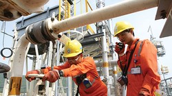 ​ Ủy ban được thành lập sẽ có trách nhiệm quản lý khối tài sản khổng lồ. Ảnh:VIR