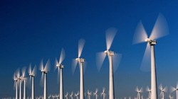 Ảnh minh họa. (Nguồn: Internet)