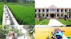 Dành tối thiểu 193 nghìn tỷ đồng cho xây dựng Nông thôn mới giai đoạn 2016-2020.