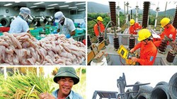 Tiến hành Tổng điều tra kinh tế từ 1/3/2017.