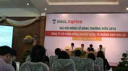 Đại hội đồng cổ đông thường niên HAGL Agrico năm 2016 diễn ra tại Gia Lai. Ảnh: N.Thảo