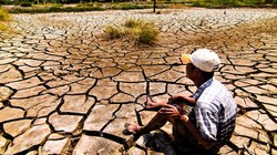 Ảnh minh họa. (Nguồn: Internet)