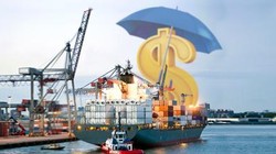 Ảnh minh họa. (Nguồn: Internet)