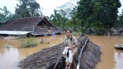 Ảnh minh họa. (Nguồn: Internet)