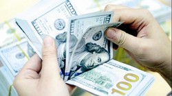 Điều hành tỷ giá trung tâm có lên, có xuống hàng ngày đã giảm tâm lý găm giữ ngoại tệ.