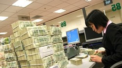 Ảnh minh họa. (Nguồn: Internet)