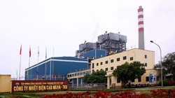 Ảnh minh họa. (Nguồn: Internet)