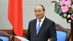 Thủ tướng: "Không có lý thuyết quy hoạch nào cho phép xây chung cư 50 tầng ở như ở Giảng Võ"