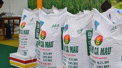 Ảnh minh họa. (Nguồn: Internet)