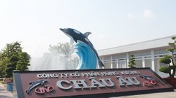 Ảnh minh họa. (Nguồn: Internet)