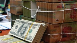 Ảnh minh họa. (Nguồn: Internet)