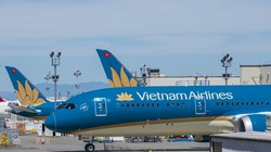 Trong 3 tháng đầu năm, Vietnam Airlines vẫn duy trì thị phần 61% thị trường nội địa.