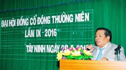 Phó Tổng Giám đốc HQC Trần Thái Sơn. (Ảnh: hqc.vn)