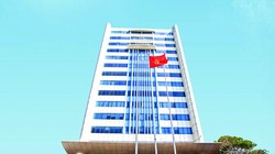 HAG thay đổi đăng ký kinh doanh lần thứ 29: VĐL tăng thêm 1.375 tỷ đồng. (Ảnh: HAG)