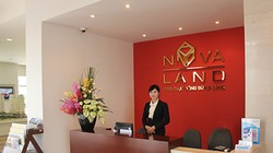Không phải 60%, thực chất Novaland đã sở hữu hơn 83% Cảng Phú Định. (Ảnh: NVL)