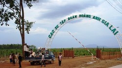 Ảnh minh họa - Nguồn: TBKTSG