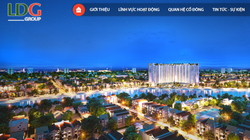 Những điều trông thấy từ BCTC mà LDG vừa công bố. (Ảnh chụp màn hình website của LDG)