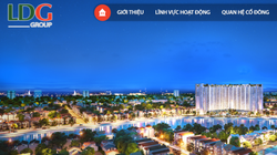 Phía sau “lỗi đánh máy” ở LDG. (Ảnh chụp website ldggroup)
