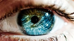 
Nhận diện thông qua tròng mắt đã trở lại vị trí hàng đầu của sinh trắc học. (Ảnh: Internet)