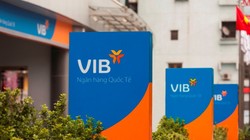 VIB: Bên cạnh kết quả lợi nhuận kỷ lục…. (Ảnh: VIB)