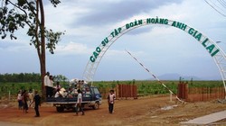 Với lý do quen thuộc, HNG, HAG xin gia hạn công bố thông tin thêm 10 ngày. (Ảnh: Internet)