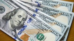 Tỷ giá trần mà các ngân hàng được áp dụng hôm nay là 23.118 đồng/USD.