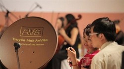 Ảnh minh họa. (Nguồn: Internet)