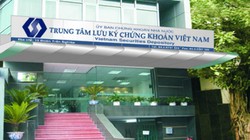Xét trên bình diện xã hội, có thể nói rằng, VSD có chế độ đãi ngộ khá ấn tượng. (Ảnh: Internet)