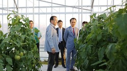 Phát triển nông nghiệp công nghệ cao là một hướng đi trọng tâm mới của Tập đoàn FLC. (Ảnh: FLC)