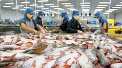 Mỹ đã giảm bớt áp lực lên Việt Nam liên quan thuế chống bán phá giá với sản phẩm cá da trơn Việt Nam. (Ảnh: Internet)