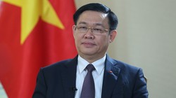 Phó Thủ tướng Chính phủ Vương Đình Huệ.