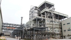 Ảnh minh họa. (Nguồn: VGP)