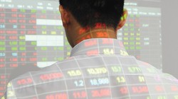 Ảnh mang tính minh họa. (Nguồn: Internet)