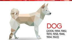 Nhìn lại 1 năm kinh doanh của các doanh nhân tuổi Tuất.