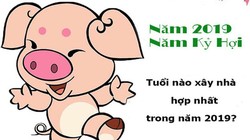 Chuyên gia phong thủy: Những tuổi mua nhà, xây nhà, làm ăn vượng nhất năm Kỷ Hợi 2019