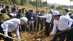 Tổng bí thư, Chủ tịch nước phát động Tết trồng cây 2019