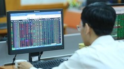 Phiên ngày 16/4, VN-Index giảm nhẹ giảm 5,73 điểm xuống mức 977,17 điểm. (Ảnh minh họa. Nguồn: PV/Vietnam+)