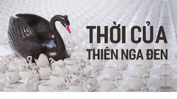 Thời của "thiên nga đen"