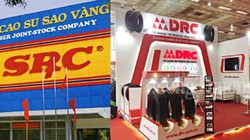 Tình cảnh trái ngược của 2 thương vụ đấu giá DRC và SRC có lẽ đến từ đất. SCR hấp dẫn vì nó có... "đất vàng".