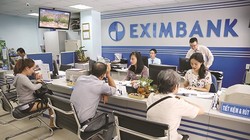 Cục diện cổ đông Eximbank trước đại hội lần hai