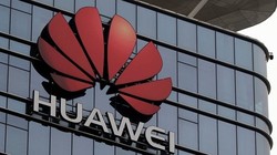 Sau hơn nửa tháng kể từ sau khi kết thúc cuộc gặp gỡ Donald Trump - Tập Cận Bình tại Osaka, cuộc đàm phán thương mại Mỹ - Trung vẫn không tái khởi động được vì vấn đề Huawei 