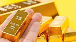 Trong quá khứ, từng có những "tay to" và ngân hàng thương mại gục ngã trước rủi ro vốn vàng.