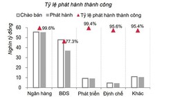 Ngân hàng là lĩnh vực có tỷ lệ phát hành trái phiếu thành công cao nhất. Nguồn: SSI