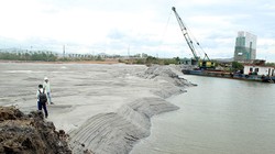 Rừng ngập mặn tại đầm Thị Nại bị san lấp để làm dự án du lịch sinh thái và biệt thự. (Ảnh: Thanh niên)