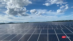 Chủ đầu tư dự án điện mặt trời đi đâu, về đâu?