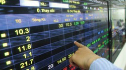 Các công ty chứng khoán ưa thích các ngành, cổ phiếu nào trong năm 2020?