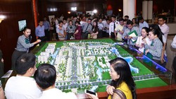 Tết buồn của giới địa ốc
