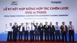 Thadi đã chính thức hiện diện ở HVG.